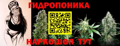 гидропоника Камень-на-Оби