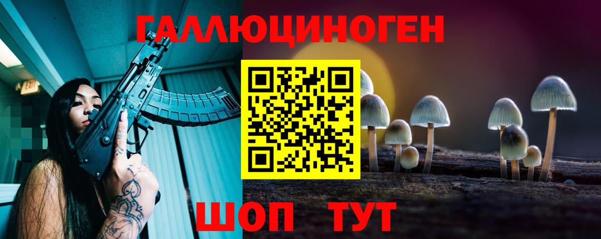 Галлюциногенные грибы Psilocybine cubensis  Псилоцибиновые грибы прущие грибы  Большой Камень  Вход с VPN 